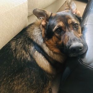 Meet your Posher, Madeline